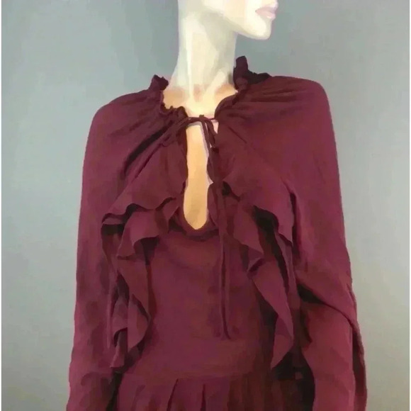 Ruffled Dress - Picture 15 of 17